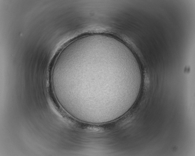 X0000112800582200909181539