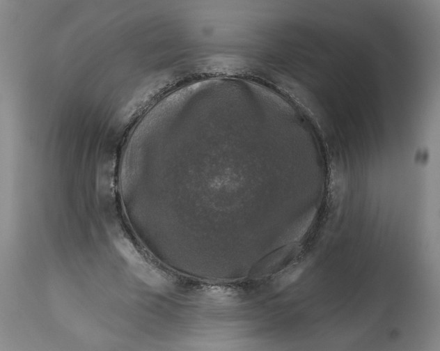 X0000112800585200909181539