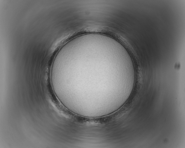 X0000112800586200909181539