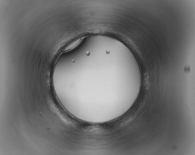 X0000112800589200909181538