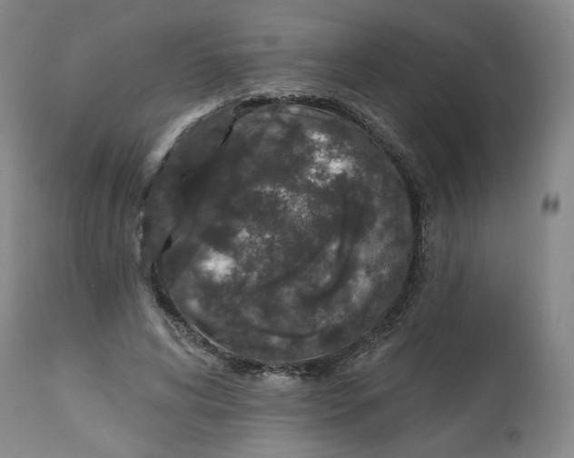 X0000112800592200909181538