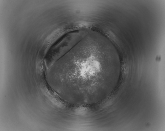 X0000112800593200909181538