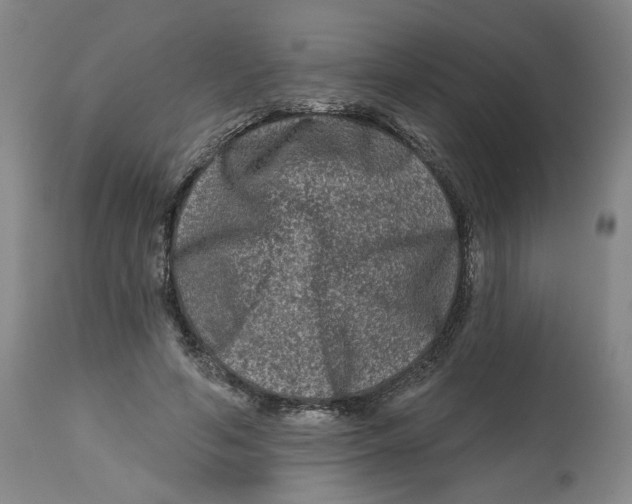 X0000112800594200909181538