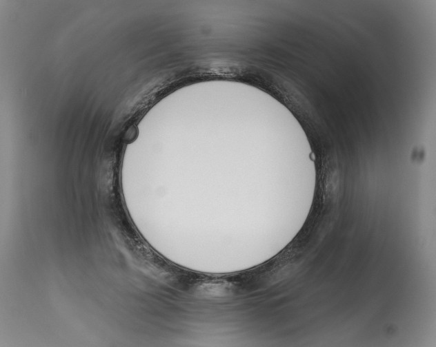 X0000112800595200909181538