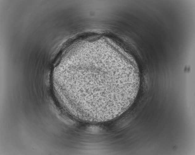 X0000112800596200909181538