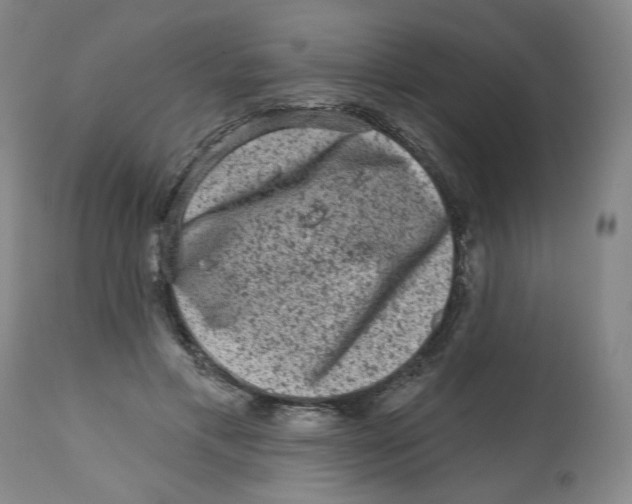 X0000112800597200909181538