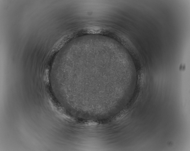 X0000112800598200909181538