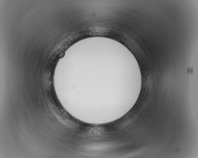 X0000112800599200909181538