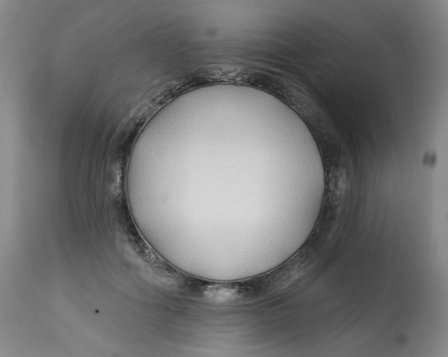 X0000112800602200909181538