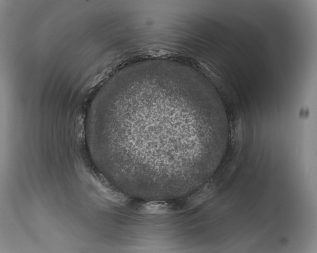 X0000112800606200909181538
