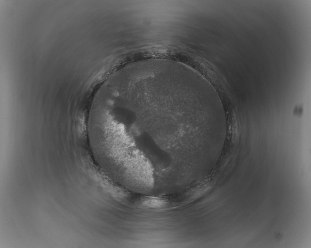 X0000112800610200909181538