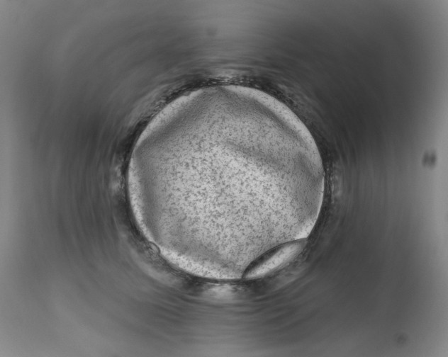X0000112800611200909181538