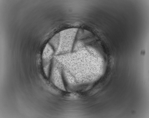 X0000112800612200909181538