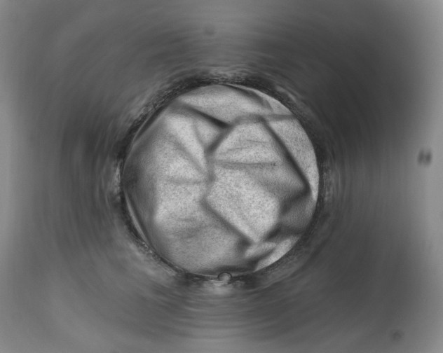 X0000112800613200909181538