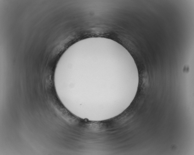 X0000112800615200909181538