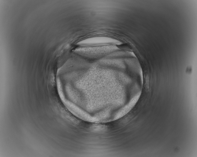 X0000112800617200909181538