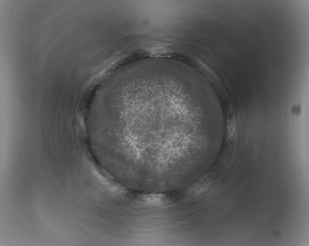 X0000112800618200909181538