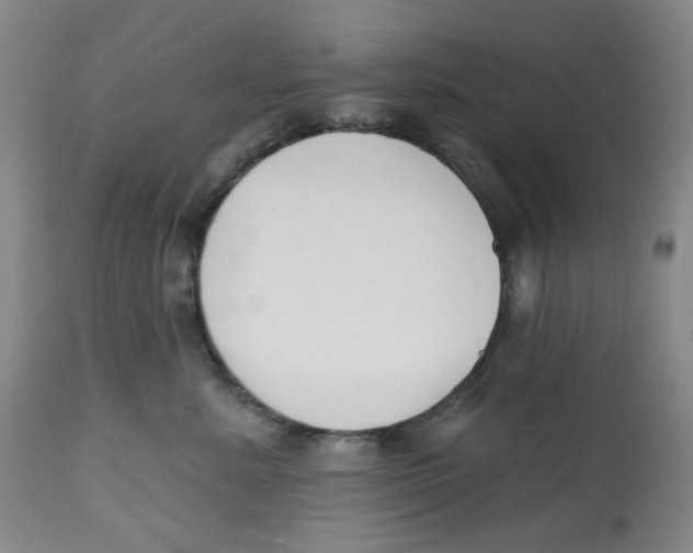 X0000112800619200909181538