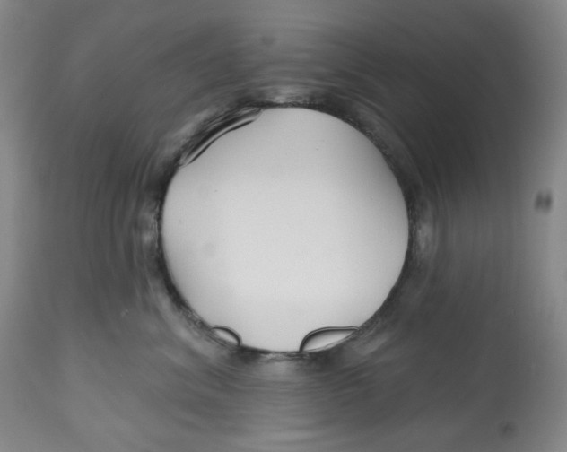 X0000112800620200909181538