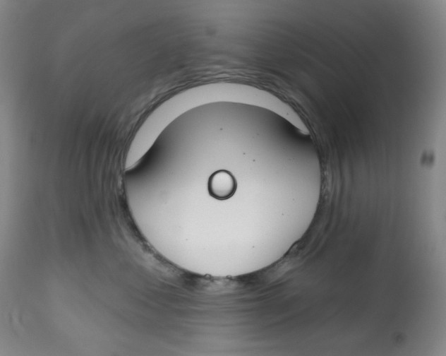 X0000112800621200909181538