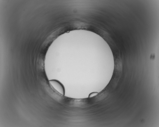 X0000112800622200909181538