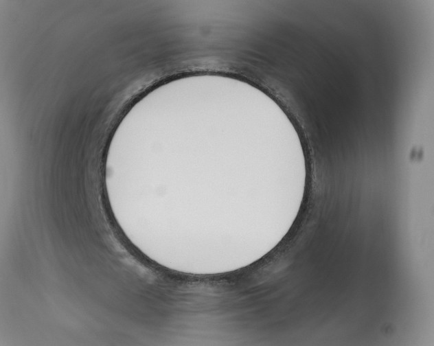 X0000112800625200909181537