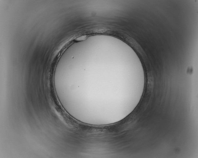 X0000112800626200909181537