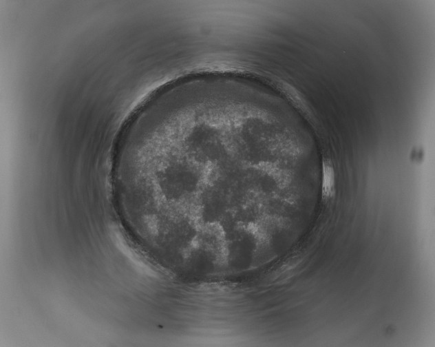 X0000112800627200909181537
