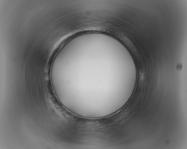 X0000112800628200909181537