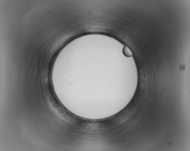 X0000112800631200909181537