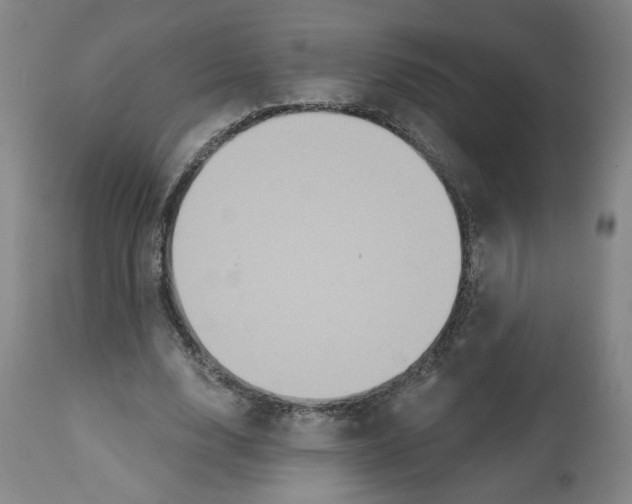 X0000112800632200909181537