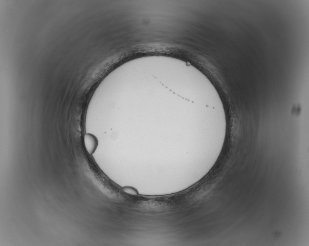 X0000112800633200909181537