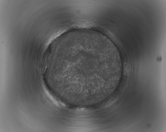 X0000112800634200909181537