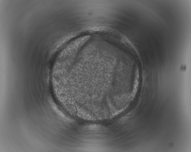 X0000112800637200909181537