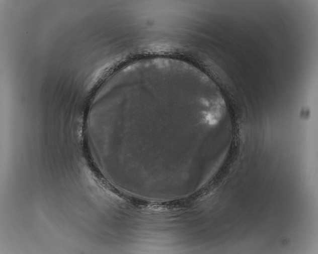 X0000112800640200909181537