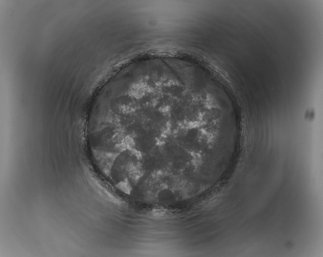 X0000112800641200909181537