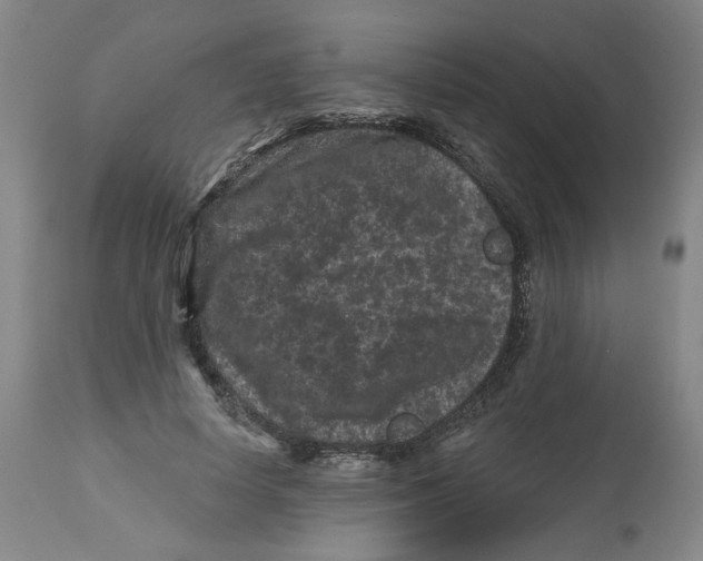 X0000112800642200909181537