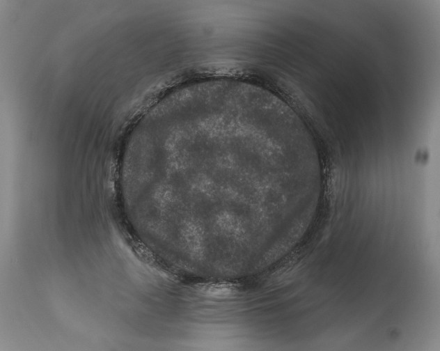 X0000112800643200909181537