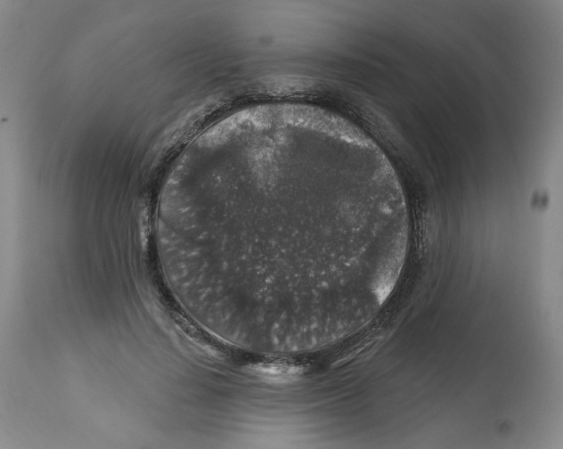 X0000112800644200909181537