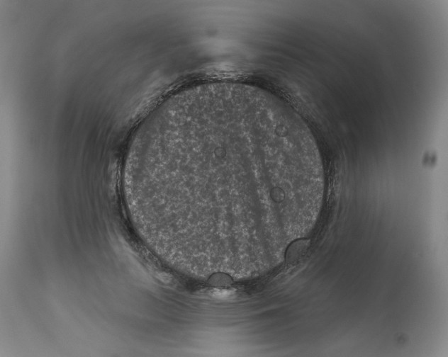 X0000112800647200909181537
