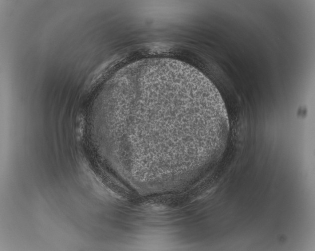 X0000112800648200909181537