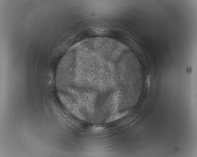 X0000112800651200909181538
