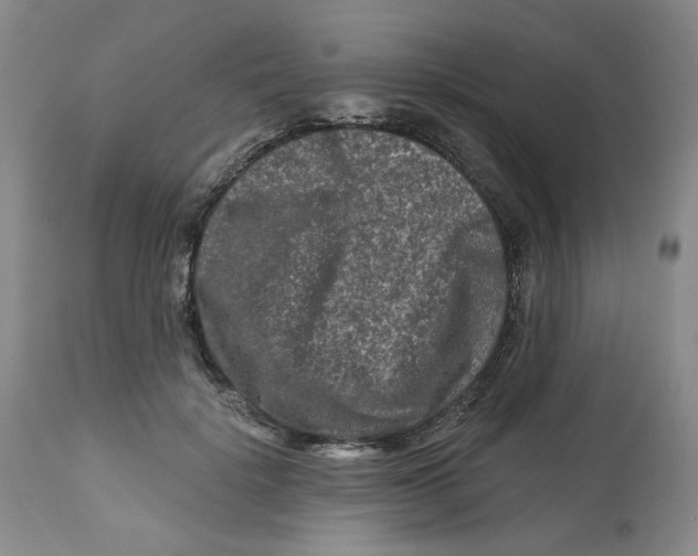 X0000112800652200909181538