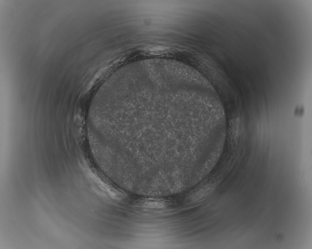 X0000112800653200909181538
