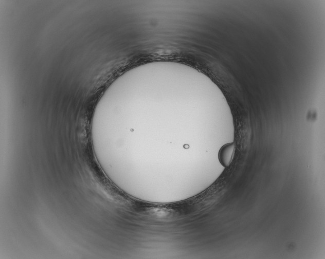 X0000112800654200909181538