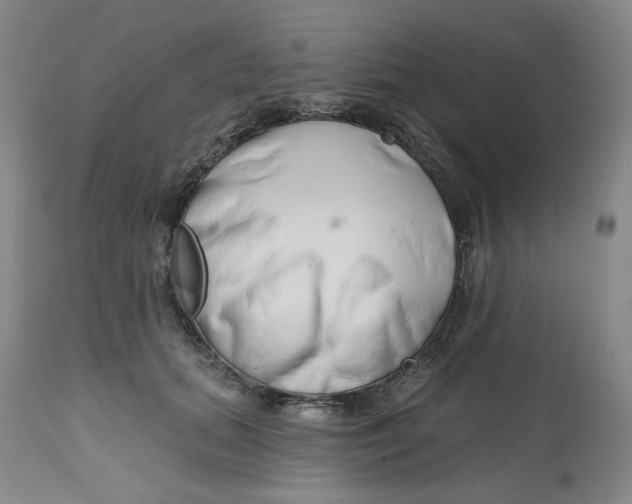 X0000112800655200909181538