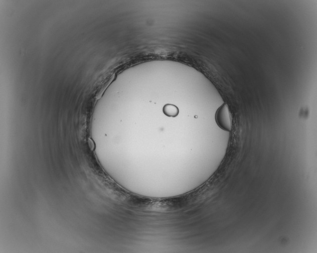 X0000112800656200909181538