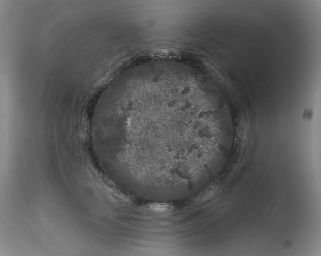 X0000112800659200909181538