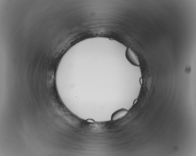 X0000112800660200909181538