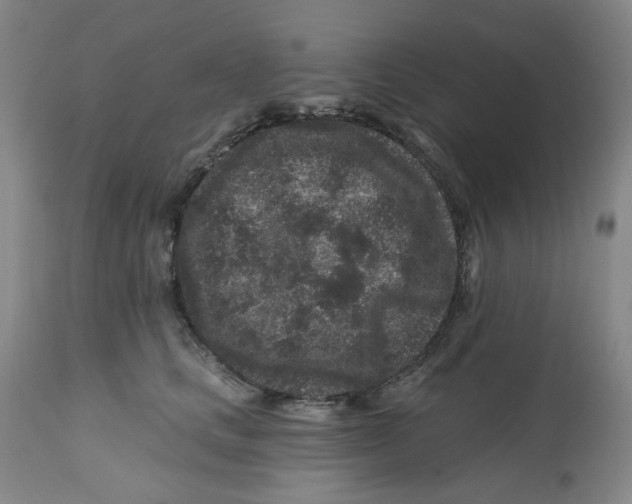 X0000112800661200909181538